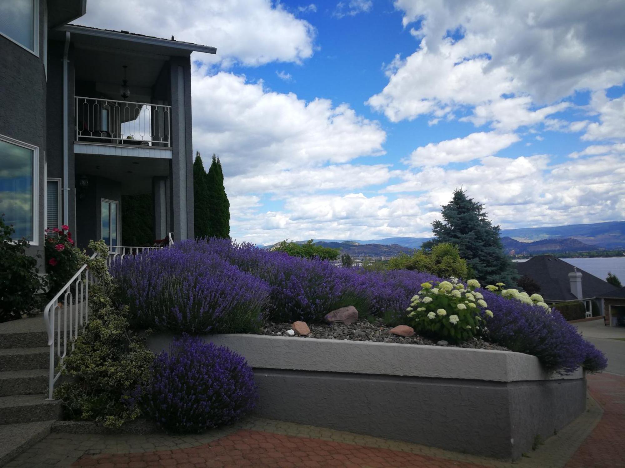 Casa Grande Lakeview House West Kelowna Værelse billede