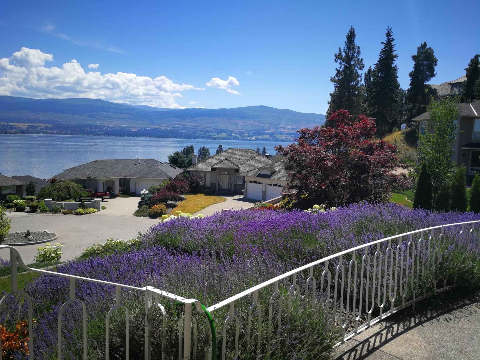 Casa Grande Lakeview House West Kelowna Værelse billede